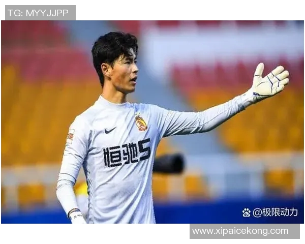 张家口足球之星:十大最具影响力球员排名与成就解析